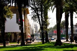 Image du Maroc Professionnelle de  Le Boulevard Mohammed V situé au Centre ville de Rabat est considéré comme la plus belle avenue du Maroc. Celle-ci nécessite une véritable rénovation. le 2 Mars 2007. (Photo / Abdeljalil Bounhar) 